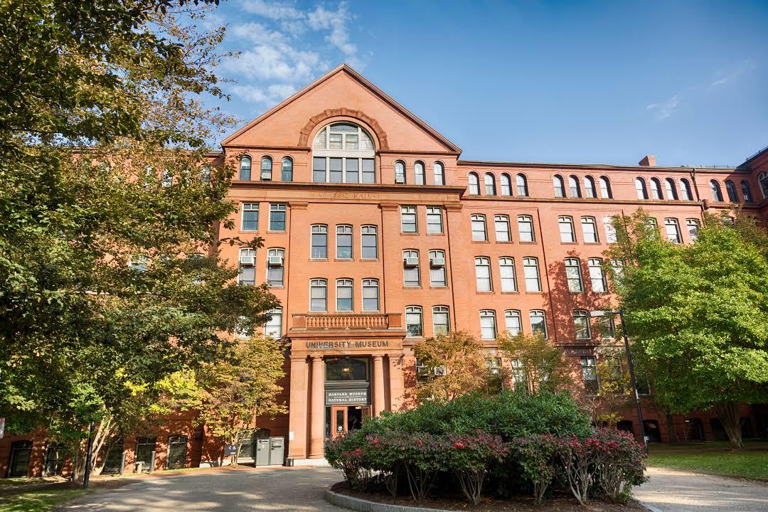 Musée d'Histoire Naturelle de Harvard